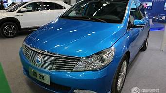 杭州新能源汽车项目_杭州新能源汽车项目 国家电网投资